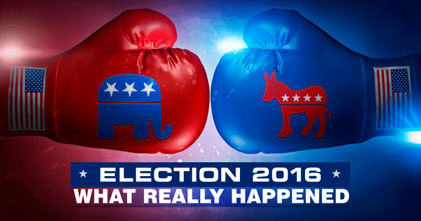 What REALLY Happened in this Election